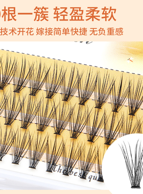 单株柔软卷翘分段浓密种植假睫毛