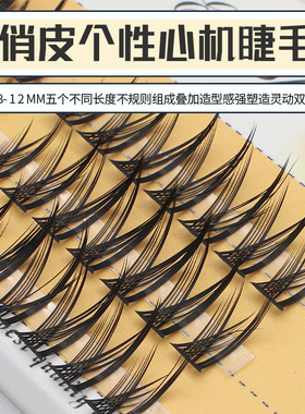 L型分段浓密芭比漫画眼单簇燕尾