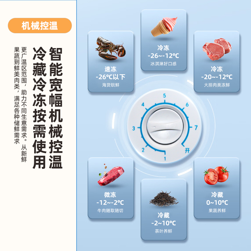 新飞一级节能小冰柜家用全冷冻小型迷你省电无霜两用冷藏冰箱冷柜