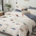 Cotton phim hoạt hình bốn mảnh cotton trẻ em đơn giản khăn trải giường quilt cô gái sinh viên ký túc xá giường ba mảnh - Bộ đồ giường bốn mảnh chăn ga cưới Bộ đồ giường bốn mảnh