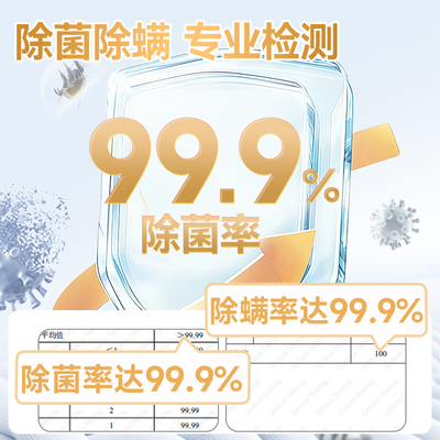 绿伞内衣裤除菌除螨洗衣液500g