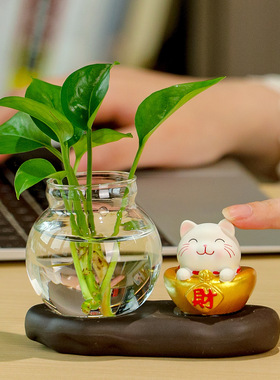 可爱招财猫水培花瓶桌面摆件
