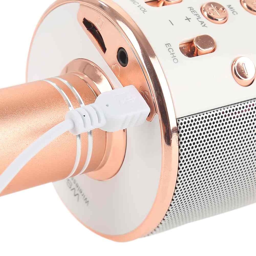 Wireless Bluetooth Karaoke Microphone Mini Portable Speaker-图0