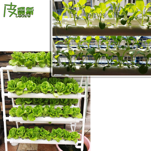 阳台无土栽培设备水培蔬菜管道种植家庭式小型生菜青菜水耕栽培机 - 图2