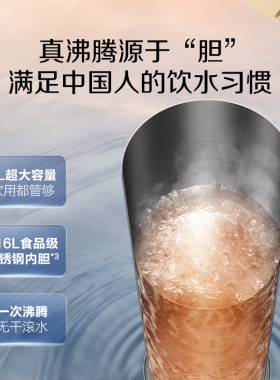 AO史密斯MS家用加热一体厨下大流量反渗透热直饮净水器