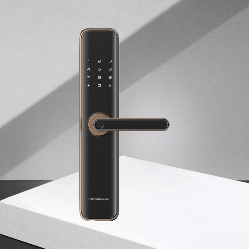 德施曼指纹锁家用防盗门密码锁智能门锁感应锁电子锁G100 - 图0