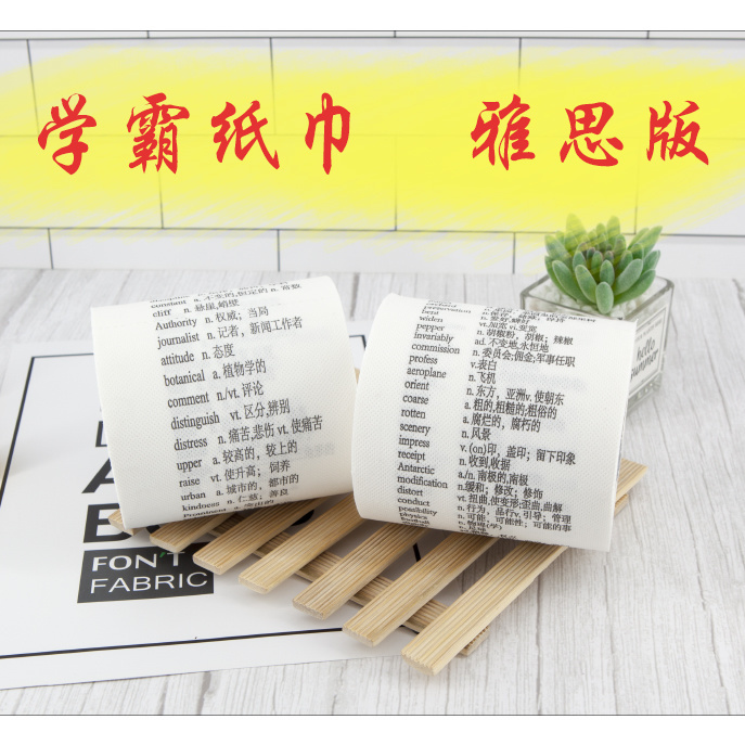 学霸厕纸四纸巾小学初高中英文英语背单词卷纸卫生纸雅思四六级考