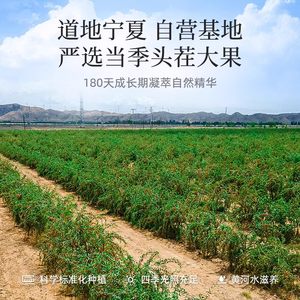 杞里香|宁夏中宁红枸杞子特优级头茬大果苟构杞泡水煲汤五八宝茶