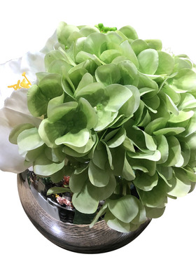 绿色绣球仿真花君子兰茶几摆件