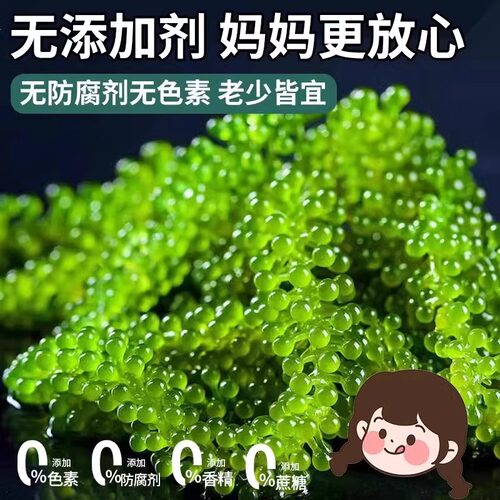 海葡萄儿童即食官方新鲜旗舰店盐渍鱼子酱孩搭海带草丝海藻裙带菜 - 图1