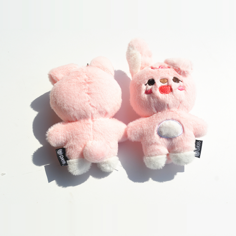 DAY6 钥匙扣尹度云 BANG金元弼denimalz PIL KE DON娃娃挂件公仔 - 图2