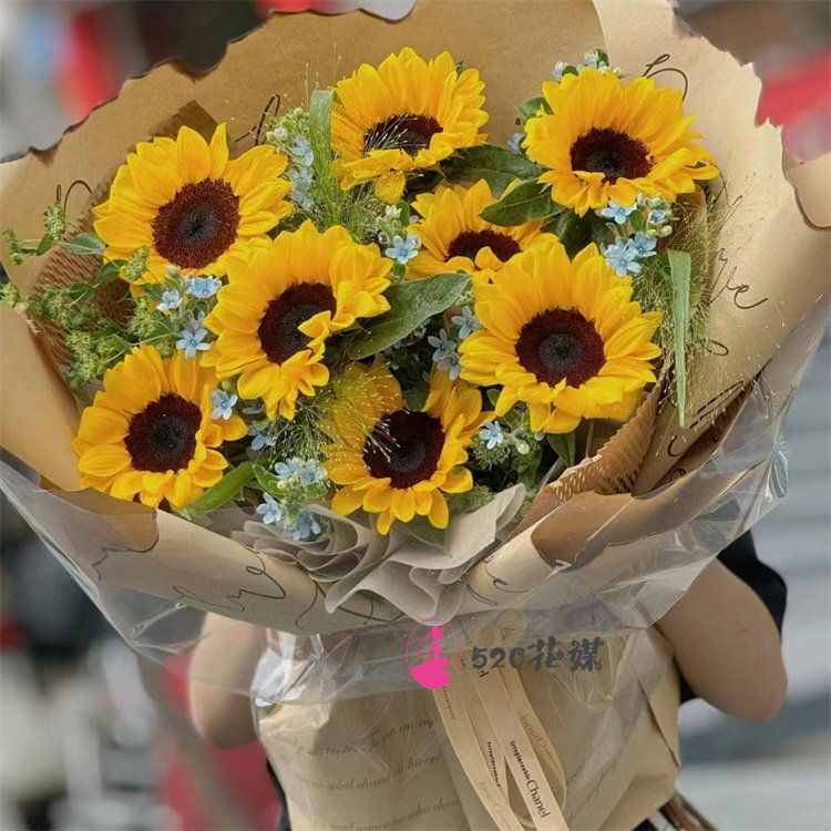 太原市小店区迎泽区杏花岭区同城鲜花店父亲节向日葵送同事男朋友