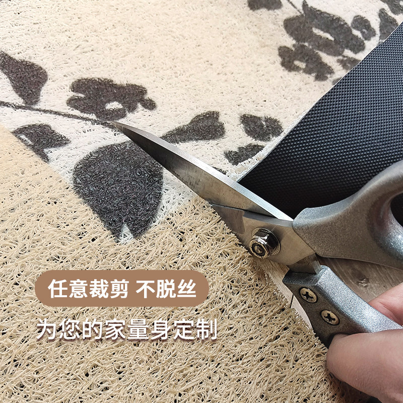 入户门地垫2026新款可擦洗防滑入门地毯进门门垫耐脏玄关丝圈脚垫,淘宝优惠券,粉丝福利购,淘宝优惠卷