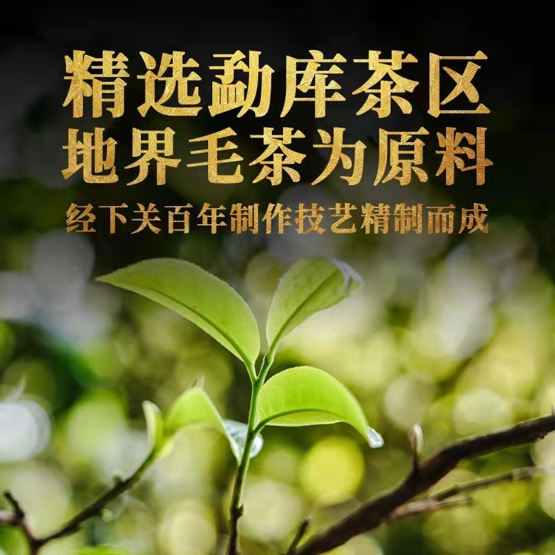 下关冰岛地界古树饼茶普洱生茶饼357g/饼 2021年茶叶入口即甜甘爽-图2