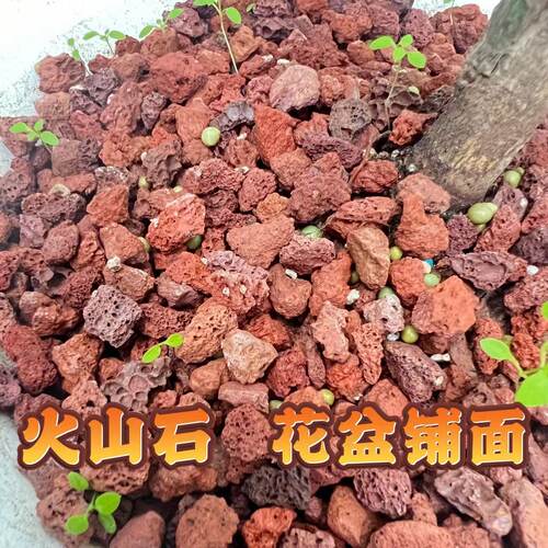 兰花多肉拌土用天然红色多孔火山石花盆铺面垫底 - 图0