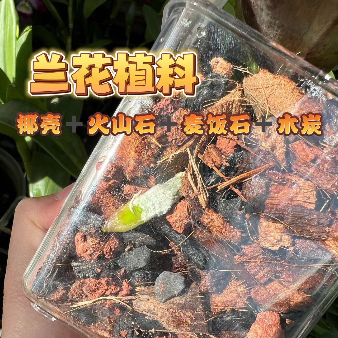 识兰兰科植料经济型蝴蝶兰文心兰种植土椰壳火山石麦饭石混合 - 图0