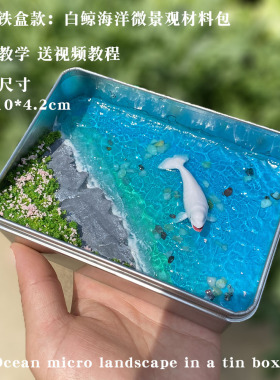 DIY半岛铁盒海洋生态微景观材料包 微缩铁盒鲸鱼大海模型手工教程
