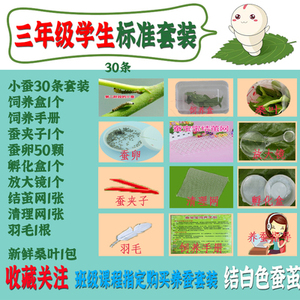細節圖