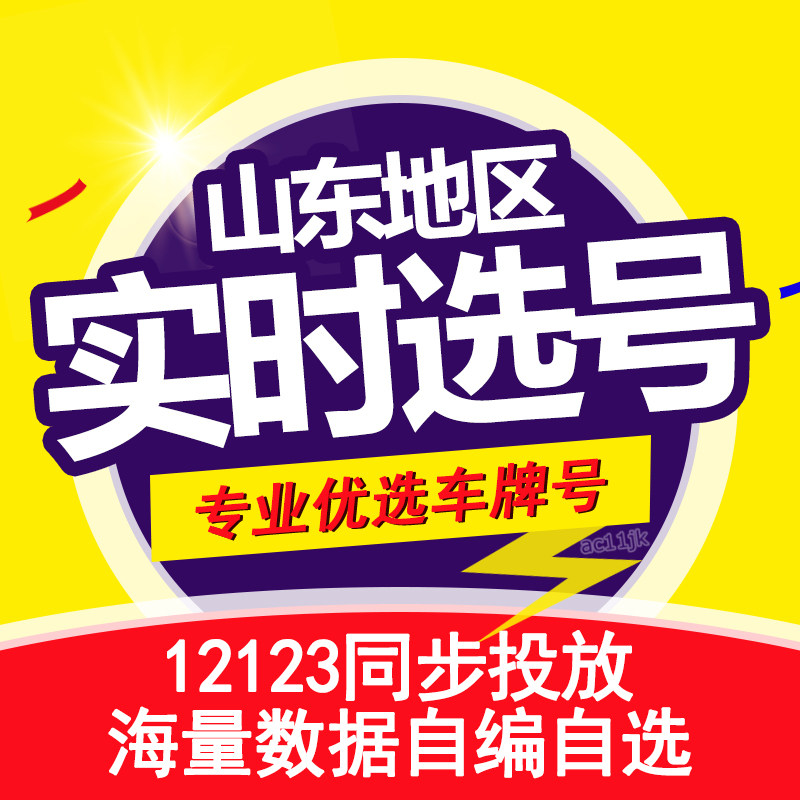 济南青岛莱芜济宁汽车选号新能源车牌号自编自选号数据库占用查询