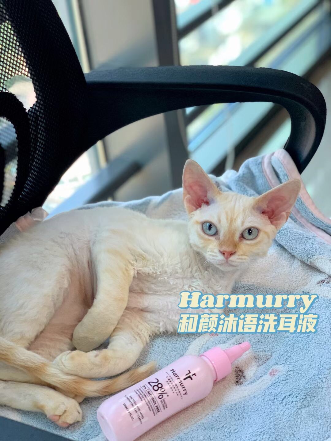 harmurry和颜沐语炎菌无踪除螨耳部清洁护理液犬猫洗耳液100ml,淘宝优惠券,粉丝福利购,淘宝优惠卷