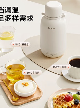 316不锈钢便携恒温电热水杯