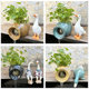 Flowing water landscape fish tank filter succulent green plant bonsai pot