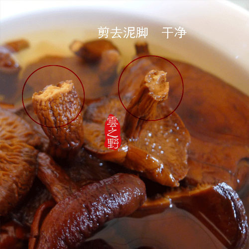 云之野生菌奶浆菌500g蘑菇菌包干香菇菌菇类煲汤干货山珍全国包邮 - 图1