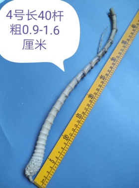 干料已煮手工雕刻文化把玩老竹根