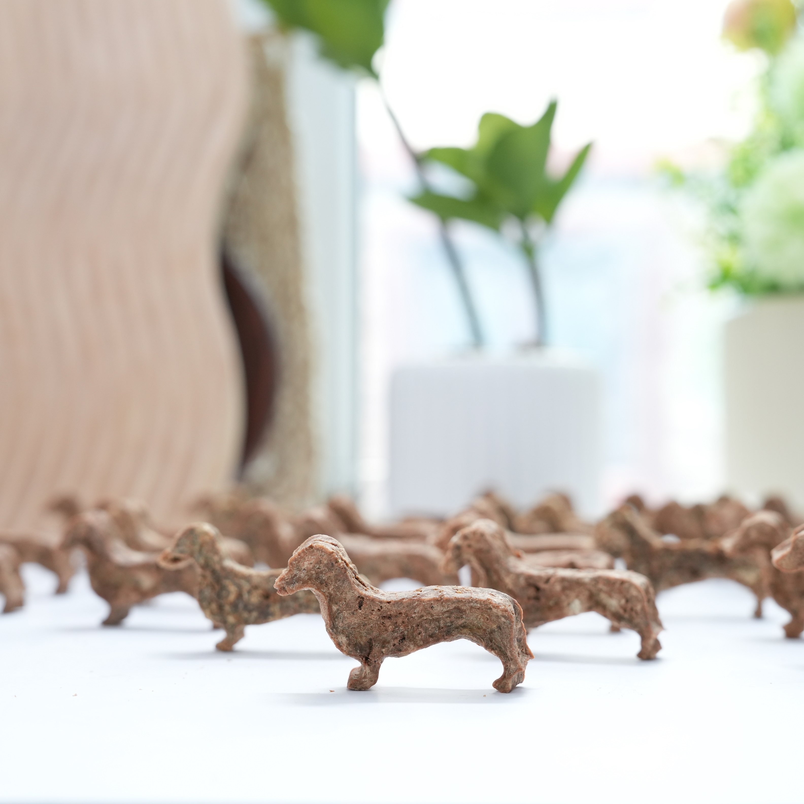 来自小火星 宠物猫狗小型犬磨牙洁齿腊肠狗饼干鸭肉鸭肝含维生素,淘宝优惠券,粉丝福利购,淘宝优惠卷