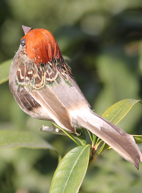 仿生鹦鹉道具墙面树枝鸟窝摆件