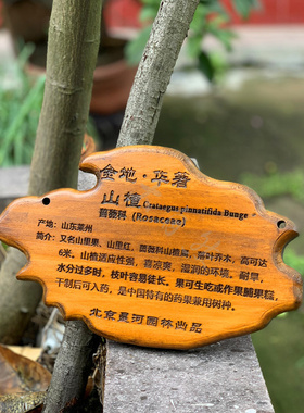 树木认养牌鲁神匠实木幼儿园