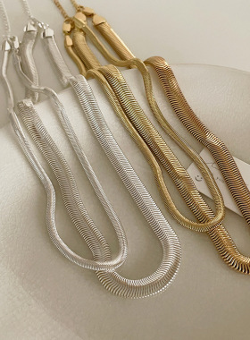 高级感金属蛇骨链女小众设计复古个性简约百搭气质项链颈链锁骨链