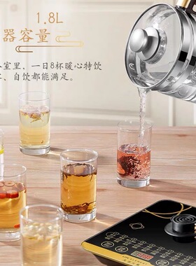 德国养生壶2026新款家用1.8L多功能炖煮一体煮茶壶花茶壶煎药壶