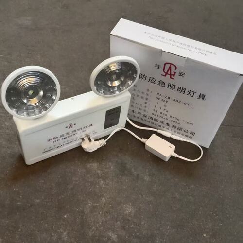 平安/桂安消防应急灯消防应急照明灯PA-ZM-ADZ-DT1 LED双头灯 - 图1
