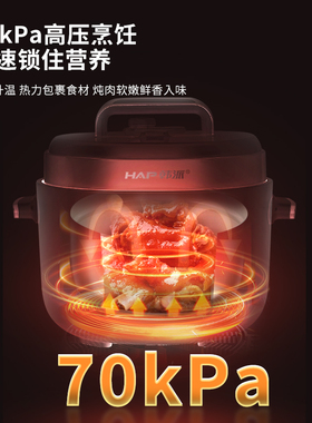 韩派鸳鸯电压力锅陶瓷釉内胆家用多功能高压锅双胆一锅三用电饭煲