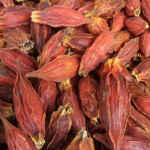 大栀子500g 包邮 水栀子红栀子黄枝子 中药材 正己干货香料大全 - 图1