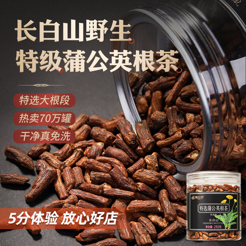 特级野生蒲公英根茶正品官方旗舰店长白山炒浦公英的根茶根大罐 - 图0
