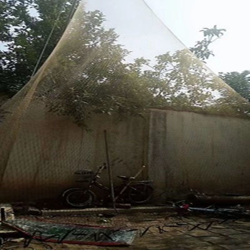 油渔网专用正宗桐油熟桐油撒网专用桐油渔网油旋网手抛网熟桐油 - 图3