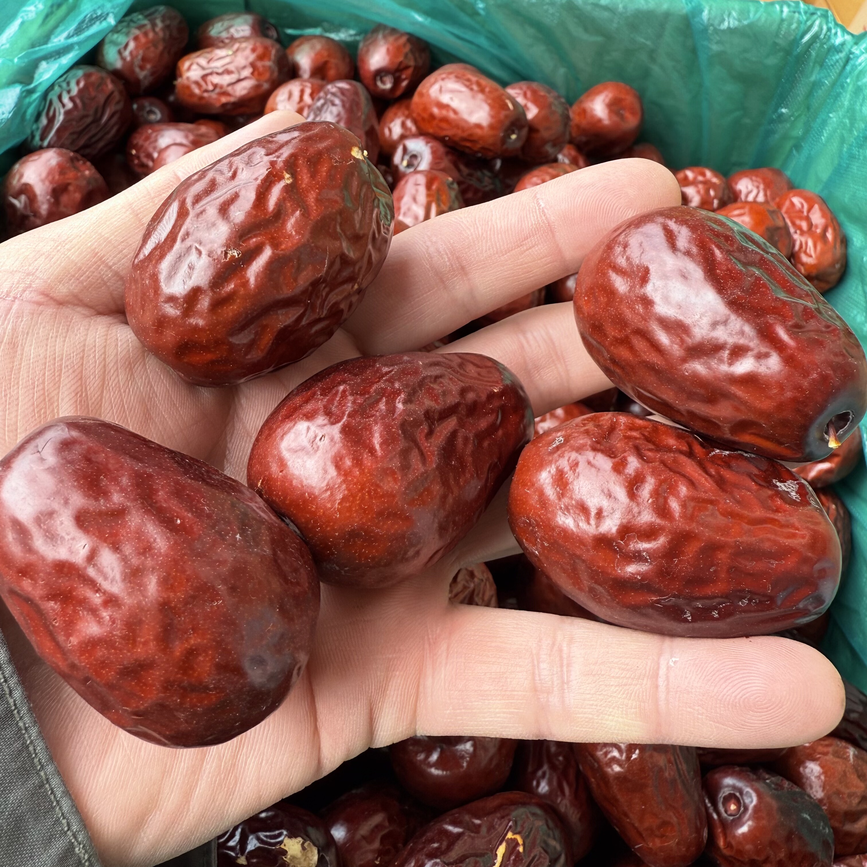 新枣1000g新疆和田大枣骏枣来自新疆的礼物新疆特产红枣新疆直发,淘宝优惠券,粉丝福利购,淘宝优惠卷