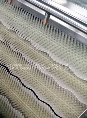 胡萝卜清洗机  毛刷式瓜果清洗机 根茎类瓜果土豆萝卜清洗设备