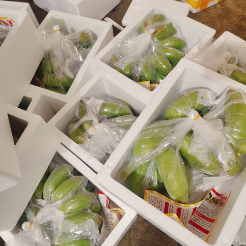 广西正宗苹果蕉粉蕉偏小季节饱满实惠香甜青的发货要催熟蛋蕉 - 图1