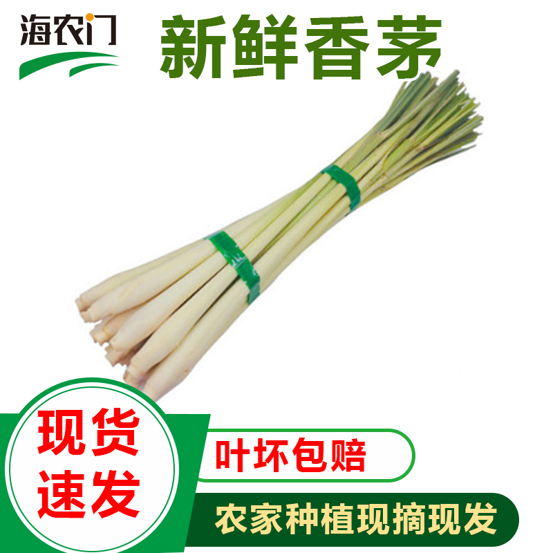 不带叶新鲜柠檬香茅草 无叶柠檬草 泰国冬阴功汤调料 香茅 - 图1