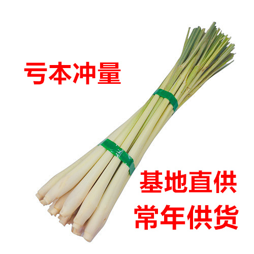不带叶新鲜柠檬香茅草 无叶柠檬草 泰国冬阴功汤调料 香茅 - 图2