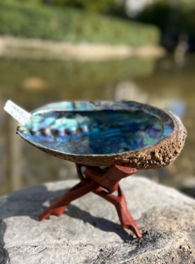 【微瑕】鲍鱼壳支架圣木架实木支架加州白鼠尾草贝壳支架器皿烧盘