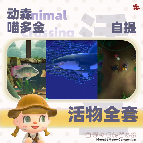 动森博物馆全套名画艺术品化石昆虫活鱼雕像海洋生物森动自提送货 - 图1