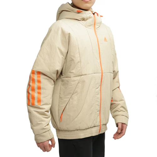 Adidas/阿迪达斯 Зимний дорожный удерживающий тепло спортивный пуховик для отдыха с капюшоном