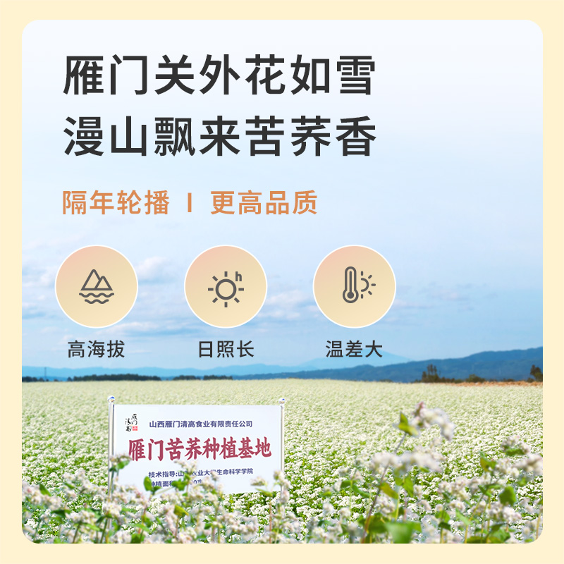 雁门清高黑苦荞茶山西雁门关有机苦荞茶送礼送亲戚荞麦茶叶礼盒装-图0