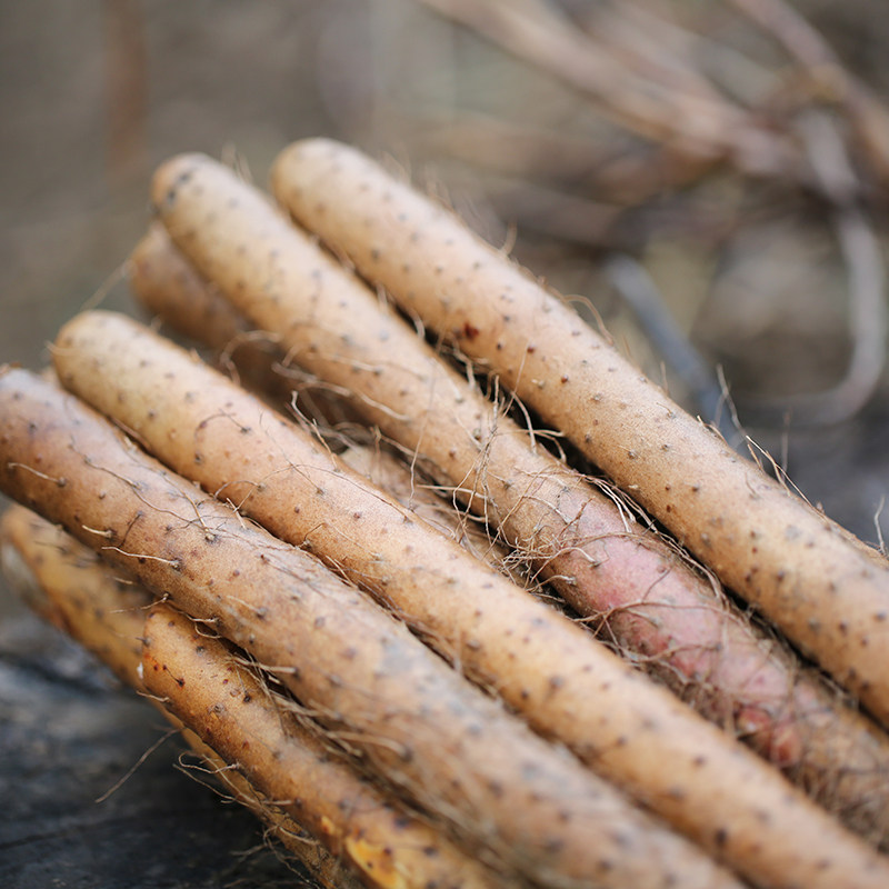 密云农家 正宗新鲜现挖 铁棍山药 自种 铁杆山药 香甜软糯 500g,淘宝优惠券,粉丝福利购,淘宝优惠卷