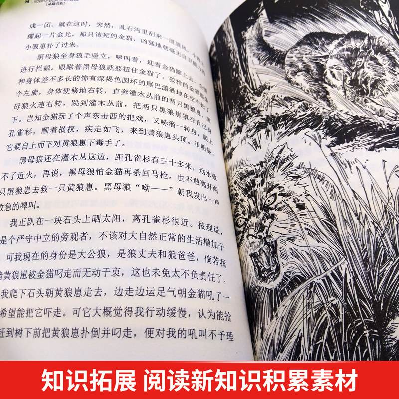 正版 斑羚飞渡 动物小说大王沈石溪品藏书系狼王梦青少年课外书8-10-12-15周岁四五六年级小学生课外阅读书籍必读经典书目儿童读物,淘宝优惠券,粉丝福利购,淘宝优惠卷