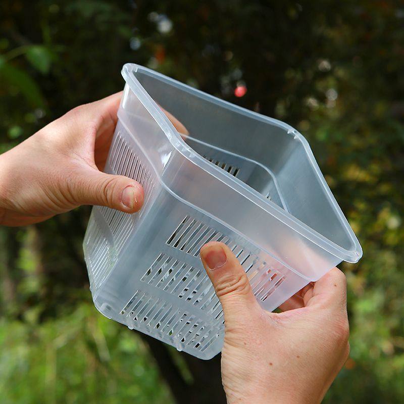 水菖蒲沼泽过滤植物防龟咬方盆加厚透气塑料花盆控根定植篮水培蓝,淘宝优惠券,粉丝福利购,淘宝优惠卷